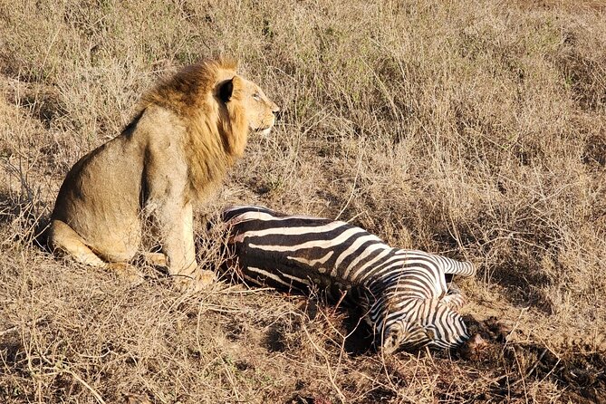 3 Days - 2 Nights Maasai Mara from Nairobi - Food and stay: breakfast and dinner included, with standout service