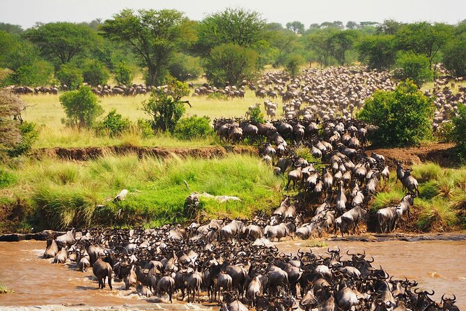 3 Days 2 Nights Maasai Mara Group Safari by 4WD From Nairobi - Key Highlights to Look For