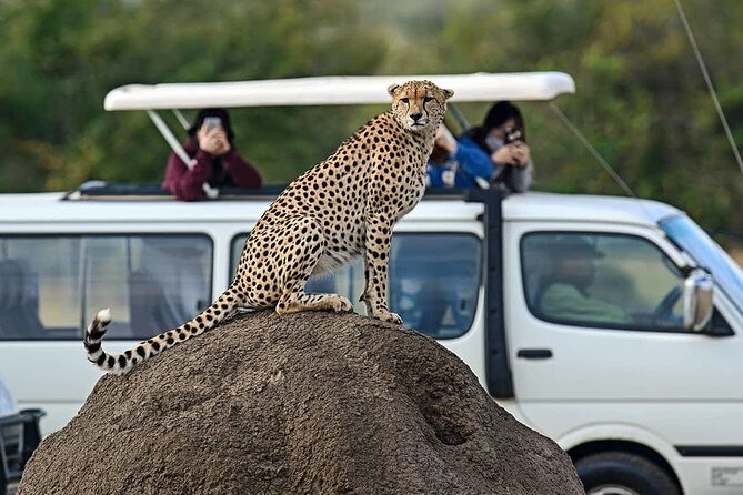 3 Days 2 Nights Maasai Mara Group Safari by 4WD From Nairobi - Price and Value: What $187 Can Cover (and What It Leaves Out)