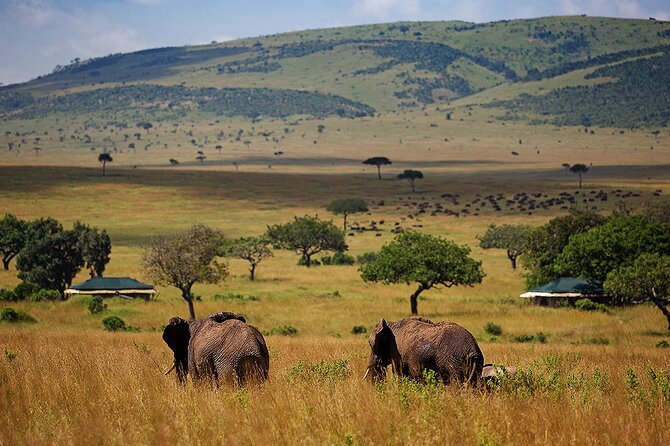 3 Days 2 Nights Maasai Mara National Reserve Joining Safari - Key highlights if you want this to feel like a real safari