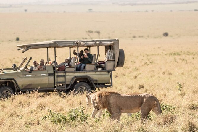 3 Days 2 Nights Maasai Mara National Reserve Joining Safari - Why This 3-Day Maasai Mara Safari Works for First-Timers
