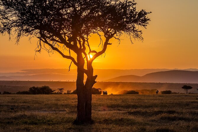 3 Days 2 Nights Maasai Mara National Reserve Joining Safari - Getting the Most From Your Time on Safari
