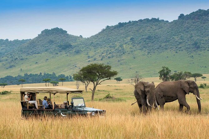 3 Days 2 Nights Maasai Mara National Reserve Joining Safari - Day 1 in Maasai Mara: Afternoon Game Drive Timing and Arrival Rhythm