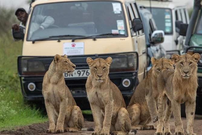 3 Days 2 Nights Masai Mara Joining Safari From Nairobi - Why This 3-Day Maasai Mara Trip Works When You’re Short on Time