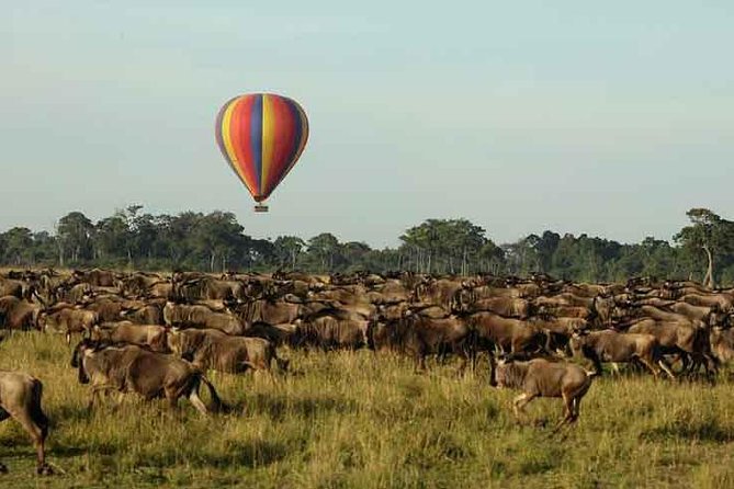 3 Days 2 Nights Masai Mara Joining Safari From Nairobi - Price and Value: $500 Plus Park Fees, so Read the Fine Print