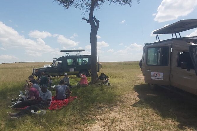 3 Days 2 Nights Masai Mara Road Transport Safari - Key Highlights You Should Care About