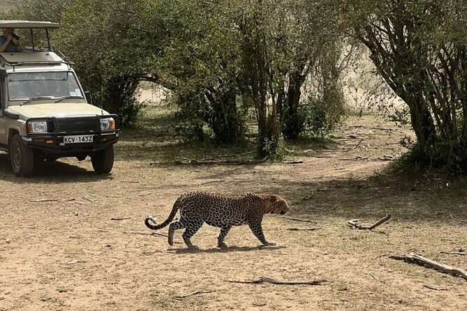 3 Days 2 Nights Masai Mara Road Transport Safari - Service Quality: The Part That Gets Praised Again and Again