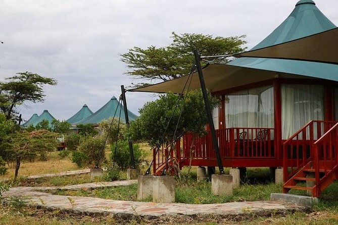 3 days, 2 nights safari to Amboseli National park from Nairobi - Wildlife Reality Check: Elephants, Big Moments, and What You Can Control