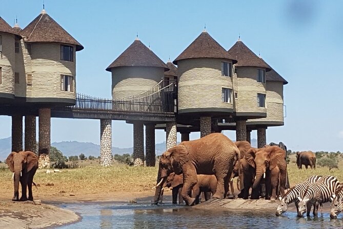 3 Days 2 Nights Safari to Saltlick Lodge from Nairobi - Key Highlights You’ll Actually Feel on Safari