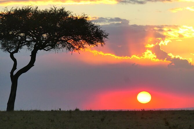 3 Days 2 Nights Safari to Saltlick Lodge from Nairobi - Day 2 in Taita Hills Wildlife Sanctuary, Where Rangers Help You Find the Action