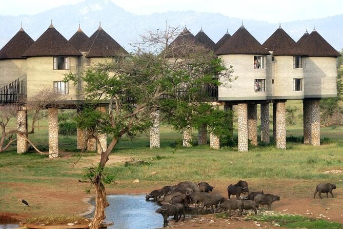 3 Days 2 Nights Safari to Saltlick Lodge from Nairobi - Day 1: Taita Hills Lunch, Tsavo West Gate, Then Your First Saltlick Game Drive