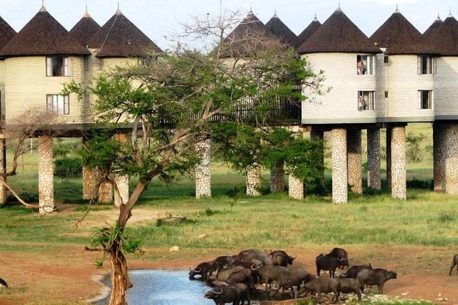 3 Days 2 Nights To Sarova Saltlick And Taita Hills - Key Things I’d Focus on Before You Book