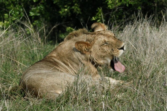 3 Days(2 nights) Tsavo East Tour & Saltlick (Cost based on minimum 2 persons) - What to pack for a 3-day Tsavo East safari from the coast
