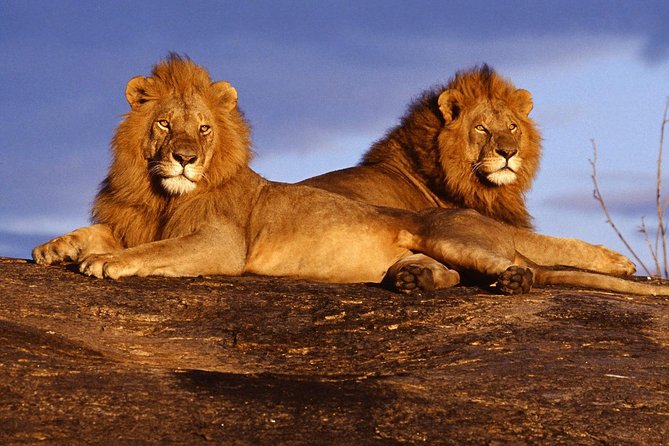 3 Days (2 nights); Tsavo East & West Safari: - Day 1: Tsavo East National Park Starts with Mudanda Rock Country Vibes