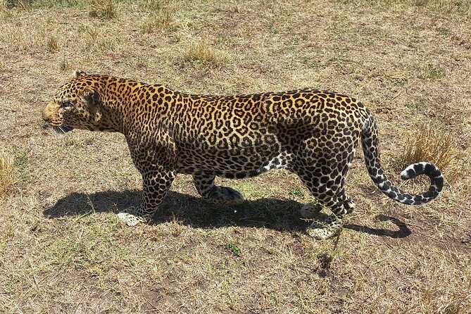 3 Days Adventure Tour in Masai Mara - Nairobi to the Rift Valley viewpoint, then straight into safari mode