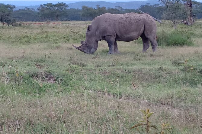 3 Days Adventure Tour in Masai Mara - How to set expectations for wildlife, river breaks, and camp time