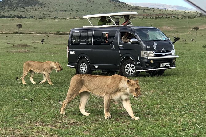 3 Days adventurous Maasai Mara Budget Group Safari - Why a 3-Day Maasai Mara Budget Safari makes sense