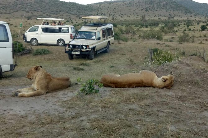 3 Days adventurous Maasai Mara Budget Group Safari - Price and value: what $850 buys you, and what it does not