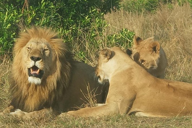 3 Days adventurous Maasai Mara Budget Group Safari - Guides make the difference, and names you should watch for