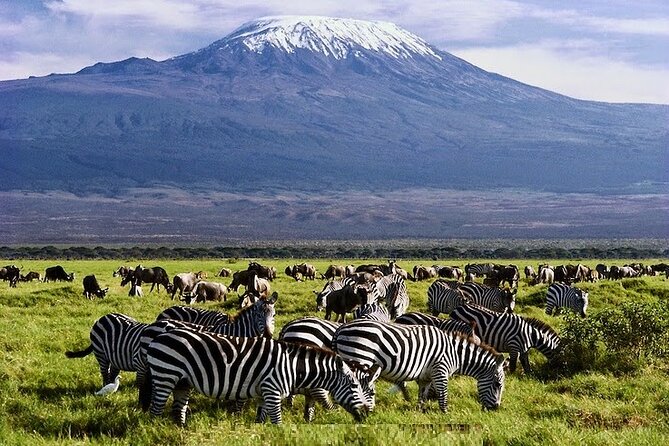 3 Days Amboseli National Park safari - Key Highlights to Expect