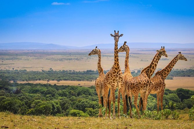 3 Days Amboseli National Park safari - Why Amboseli Works So Well for First-Time Safari Goers