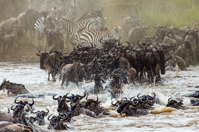 3 Days and 2 Nights Adventure in Masai Mara - Day 3: A Final Morning of Mara, Then Back to Nairobi