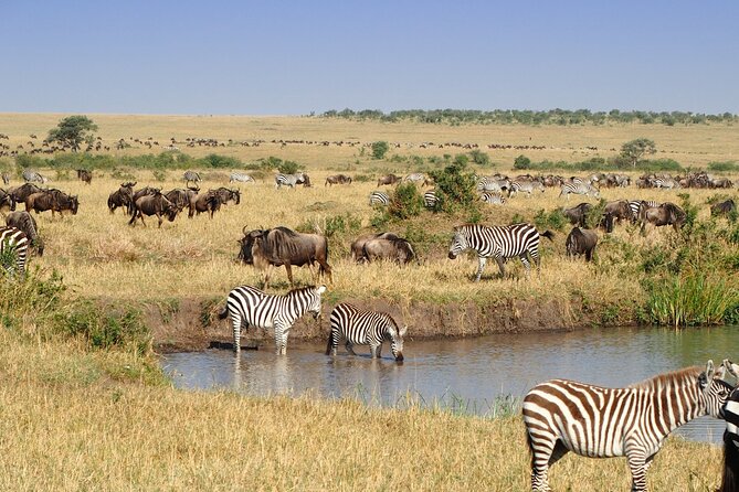 3 Days and 2 Nights Adventure in Masai Mara - Value Check: Is $1,280 Fair for 3 Days in Masai Mara?