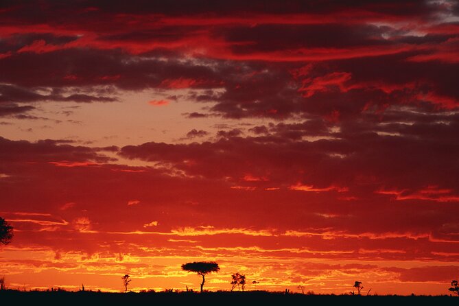 3 Days and 2 Nights Adventure in Masai Mara - Entering Masai Mara: Big Five Time and the Guide That Makes It Work