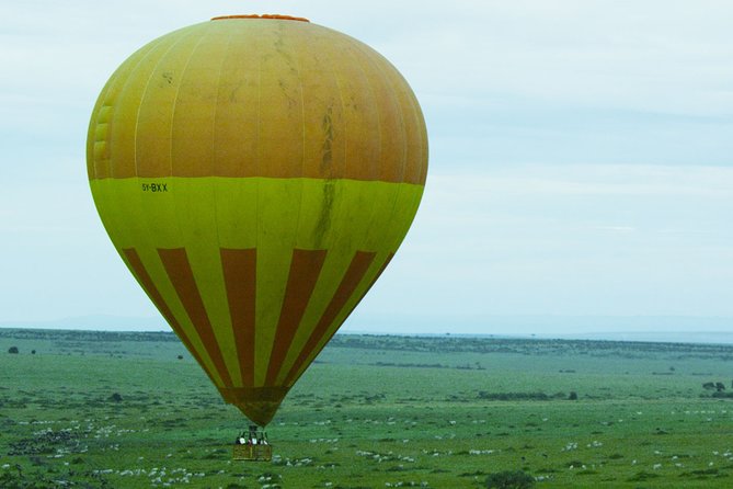 3 Days Budget Masai Mara Safari - Day 2 in the Mara: a full day of game viewing where predators actually matter
