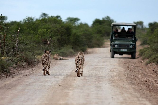 3 Days Budget Masai Mara Safari - Tented camp and meals: where the budget usually hides, and what you actually get here