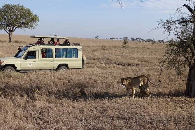 3 days group joining safari to Maasai Mara with a Land Cruiser Jeep - Price and Logistics: What $221 Covers, and What You Should Budget For
