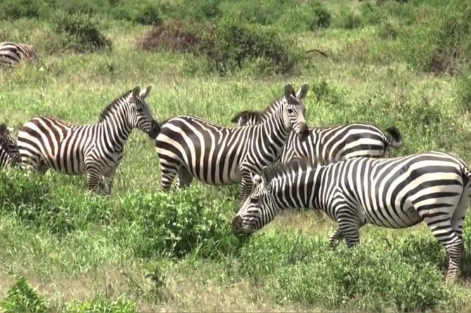 3 days group joining safari to Maasai Mara with a Land Cruiser Jeep - Day 1: Nairobi to Maasai Mara, Rift Valley Views, and the First Evening Drive
