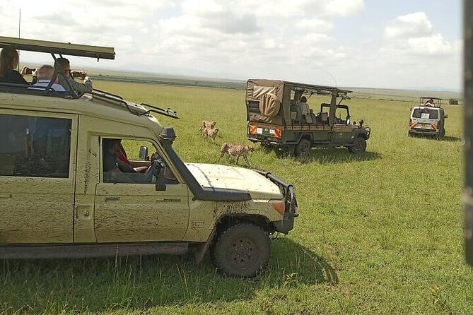 3 days group joining safari to Masai Mara with a Land CruiserJeep - Tented camp comfort at Miti Mingi camp or similar, en-suite bath and mosquito nets