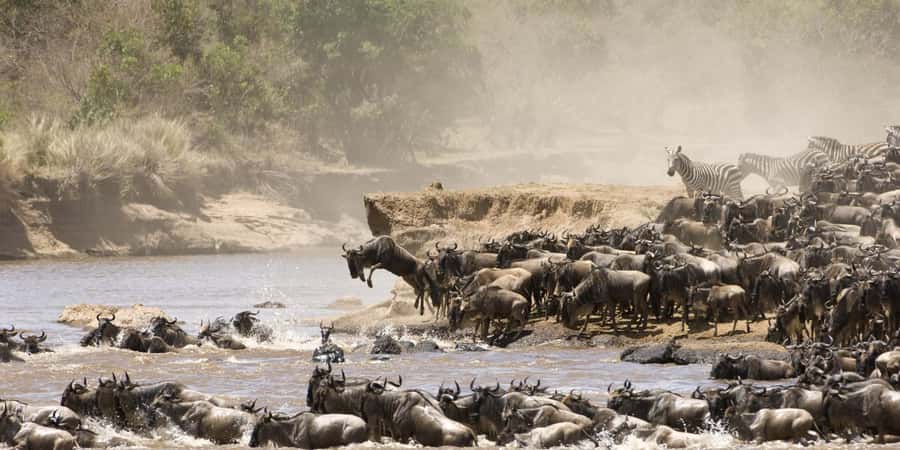 3 days group safari to maasai mara with a 4x4 landcruiser - Quick hits before you go