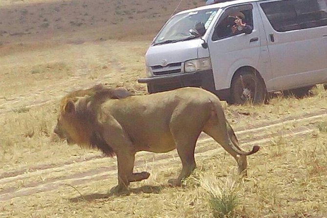 3 Days Maasai Mara Budget Group Safari - Nairobi pickup, airport connections, and the Rift Valley drive