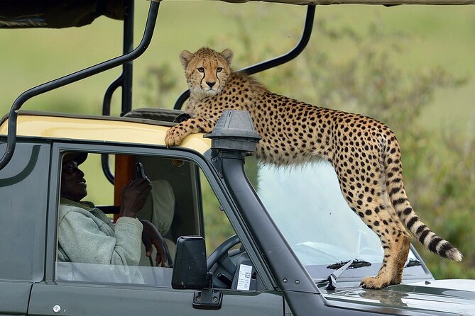 3-Days Maasai Mara Camping Safari on 4x4 Land Cruiser Jeep - Key Highlights You’ll Actually Care About