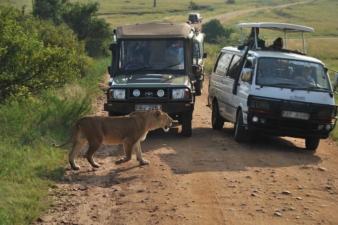 3-Days Maasai Mara Camping Safari on 4x4 Land Cruiser Jeep - Pickup in Nairobi and the 4x4 Open-Roof Advantage