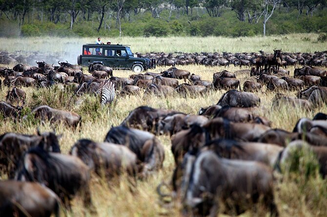 3-Days Maasai Mara Camping Safari on 4x4 Land Cruiser Jeep - Day 3: Mara Morning Wrap-Up, Mai-Mahiu Lunch, and Back to Nairobi