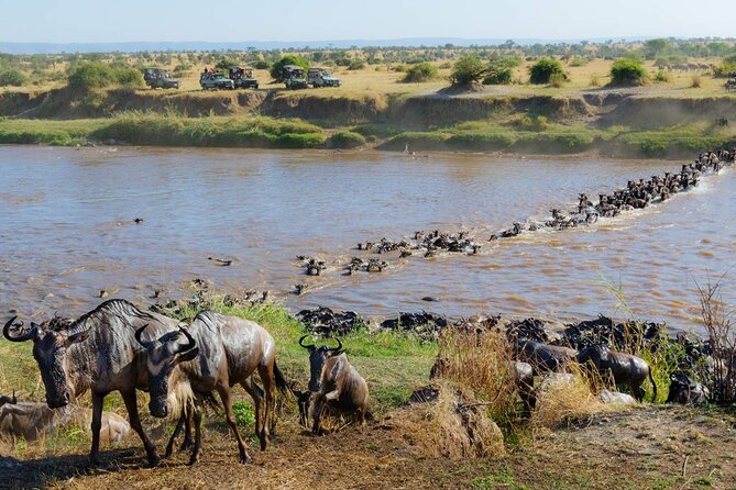 3-Days Maasai Mara Camping Safari on 4x4 Land Cruiser Jeep - Camp Life at Lenchada Tourist Camp: Tents With Real Comfort