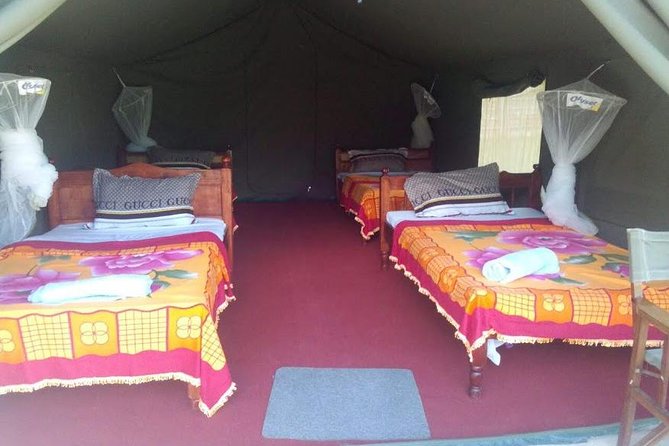 3 Days Maasai Mara Guided Safari from Nairobi - Guides and the safari vibe: the difference between good and great