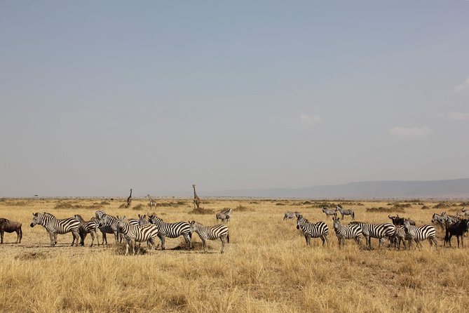 3 Days Maasai Mara Luxury Camping - Why this 3-day Maasai Mara luxury camping style works