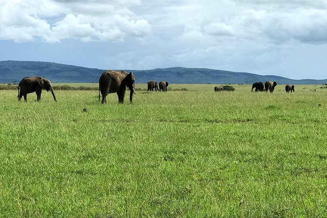 3 Days Maasai Mara Luxury Camping - Full day in the reserve: morning and evening game drives