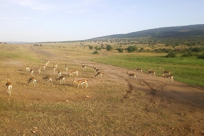 3 Days Maasai Mara Luxury Camping - Optional hot air balloon ride, and whether to add it