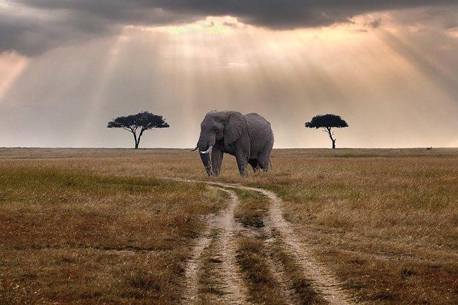 3 days Maasai Mara private Lodge safari at Keekorok from Nairobi - Keekorok Lodge, Food, and the Included Meal Plan You Can Rely On