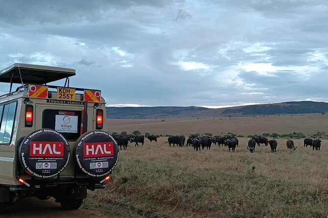 3 Days Maasai Mara Private Safari - Day 3: Morning safari, then a practical return to Nairobi around 4 p.m.