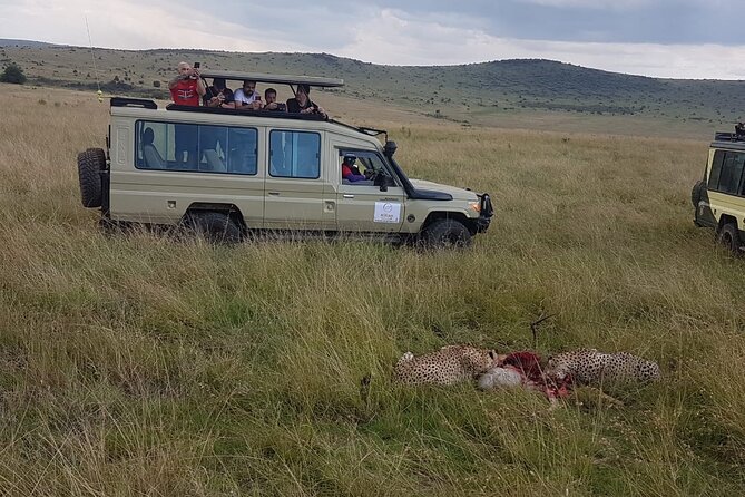 3 Days Maasai Mara Private Safari - Included meals and camp time: how to use your downtime well