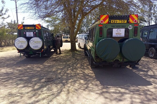 3 Days Maasai Mara Private Safari - Big Five odds, wildebeest crossing timing, and realistic expectations