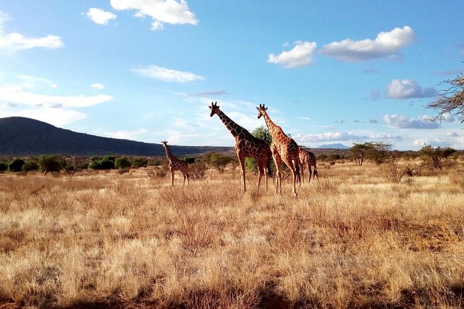 3 days Maasai Mara safari from Nairobi - Day 1: From Nairobi to Mara River, with an escarpment photo break and dusk drives