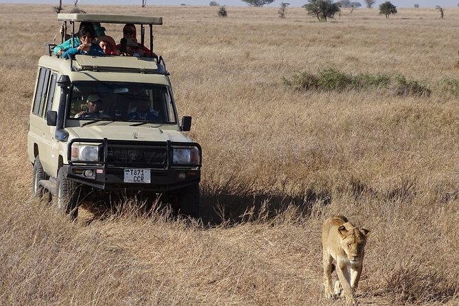 3 Days Maasai Mara Small Group Safari in a 4 x4 Land Cruiser Jeep - Key things I’d focus on before you book