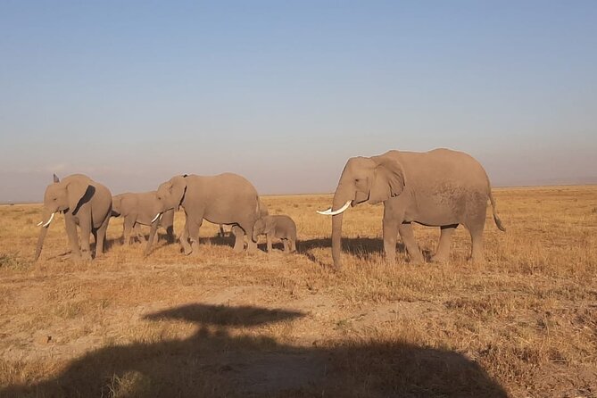 3-Days Maasai Mara unforgettable Adventure- Jeep Private Safari - How to match this safari to your travel style